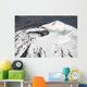 Snow-covered Ngauruhoe Cone Mount Wall Decal