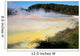 Champagne Pool and Artist's Wall Decal