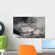 Devil's Ink Pots Hot Wall Decal