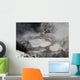 Devil's Ink Pots Hot Wall Decal