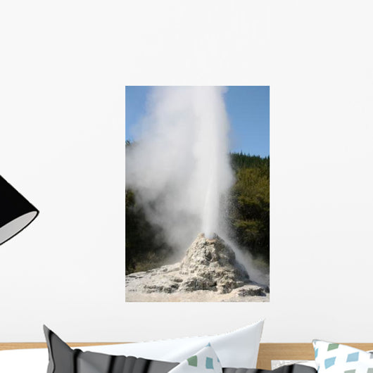 Lady Knox Geyser Wai-o-tapu Wall Decal Design 3