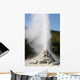 Lady Knox Geyser Wai-o-tapu Wall Decal Design 3
