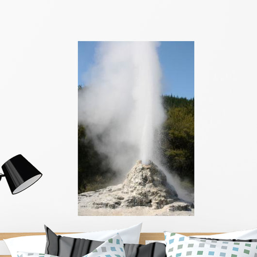 Lady Knox Geyser Wai-o-tapu Wall Decal Design 3