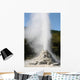 Lady Knox Geyser Wai-o-tapu Wall Decal Design 3