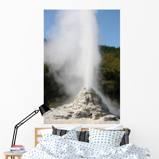 Lady Knox Geyser Wai-o-tapu Wall Decal Design 3