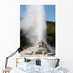 Lady Knox Geyser Wai-o-tapu Wall Decal Design 3