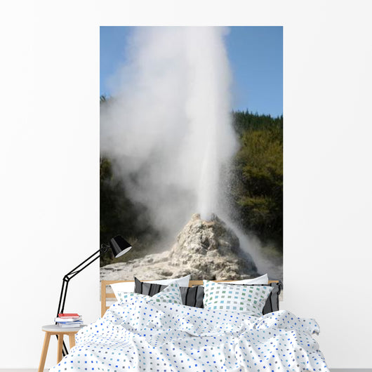 Lady Knox Geyser Wai-o-tapu Wall Decal Design 3