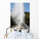 Lady Knox Geyser Wai-o-tapu Wall Decal Design 3