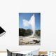 Lady Knox Geyser Wai-o-tapu Wall Decal Design 2