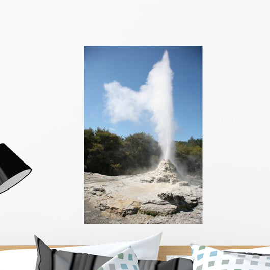 Lady Knox Geyser Wai-o-tapu Wall Decal Design 2