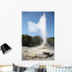 Lady Knox Geyser Wai-o-tapu Wall Decal Design 2