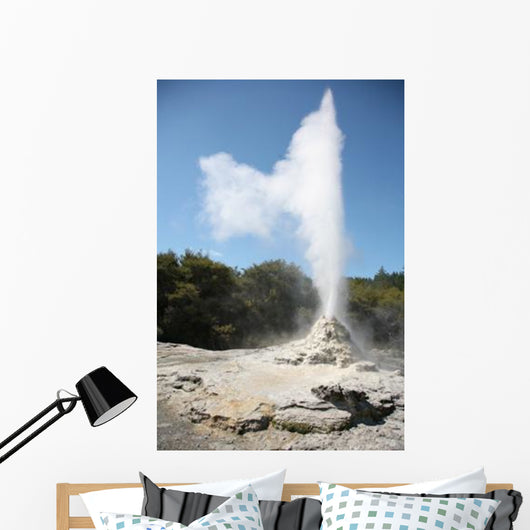 Lady Knox Geyser Wai-o-tapu Wall Decal Design 2
