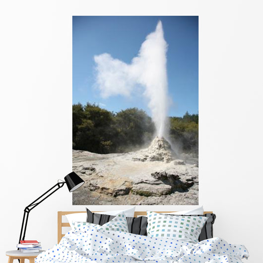 Lady Knox Geyser Wai-o-tapu Wall Decal Design 2