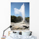 Lady Knox Geyser Wai-o-tapu Wall Decal Design 2