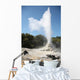 Lady Knox Geyser Wai-o-tapu Wall Decal Design 2