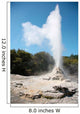 Lady Knox Geyser Wai-o-tapu Wall Decal Design 2