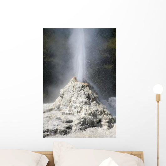 Lady Knox Geyser Wai-o-tapu Wall Decal Design 1