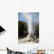 Lady Knox Geyser Erupting Wall Decal
