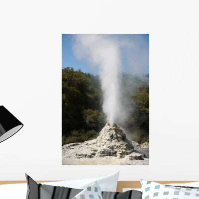 Lady Knox Geyser Erupting Wall Decal shown on a wall
