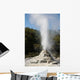 Lady Knox Geyser Erupting Wall Decal