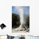 Lady Knox Geyser Erupting Wall Decal