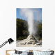 Lady Knox Geyser Erupting Wall Decal