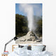 Lady Knox Geyser Erupting Wall Decal