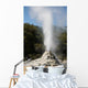 Lady Knox Geyser Erupting Wall Decal