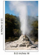 Lady Knox Geyser Erupting Wall Decal