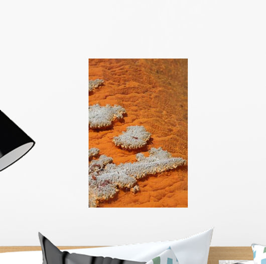 Orange Coloration Champagne Pool Wall Decal
