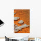 Orange Coloration Champagne Pool Wall Decal