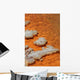 Orange Coloration Champagne Pool Wall Decal