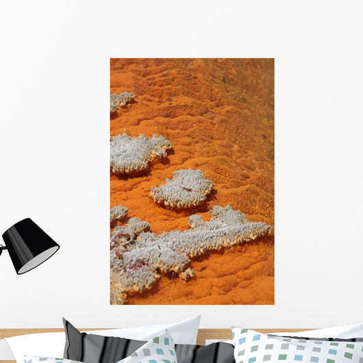Orange Coloration Champagne Pool Wall Decal