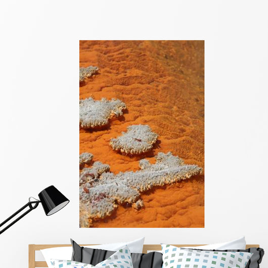 Orange Coloration Champagne Pool Wall Decal