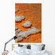 Orange Coloration Champagne Pool Wall Decal