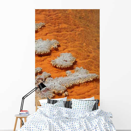 Orange Coloration Champagne Pool Wall Decal