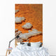 Orange Coloration Champagne Pool Wall Decal