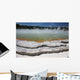 Champagne Pool Hot Spring Wall Decal