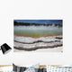 Champagne Pool Hot Spring Wall Decal