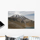 Ngauruhoe Cone and Upper Wall Decal
