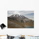 Ngauruhoe Cone and Upper Wall Decal