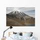 Ngauruhoe Cone and Upper Wall Decal