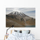 Ngauruhoe Cone and Upper Wall Decal