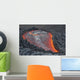 Lava Flow Flank Pacaya Wall Decal Design 3