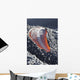 Lava Flow Flank Pacaya Wall Decal Design 2