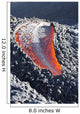 Lava Flow Flank Pacaya Wall Decal Design 2