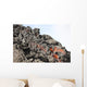 Lava Flow Flank Pacaya Wall Decal Design 1