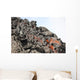 Lava Flow Flank Pacaya Wall Decal Design 1
