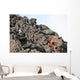Lava Flow Flank Pacaya Wall Decal Design 1