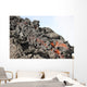 Lava Flow Flank Pacaya Wall Decal Design 1